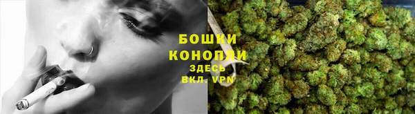 spice Арсеньев