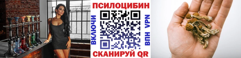 купить наркотики цена  Верхотурье  Псилоцибиновые грибы ЛСД 